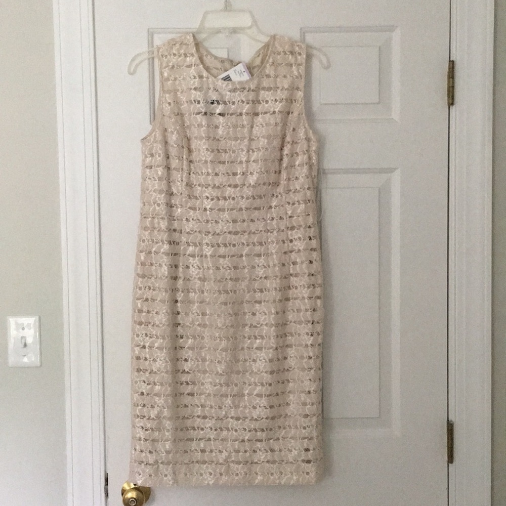 Jones New York striped/lace patterned dress